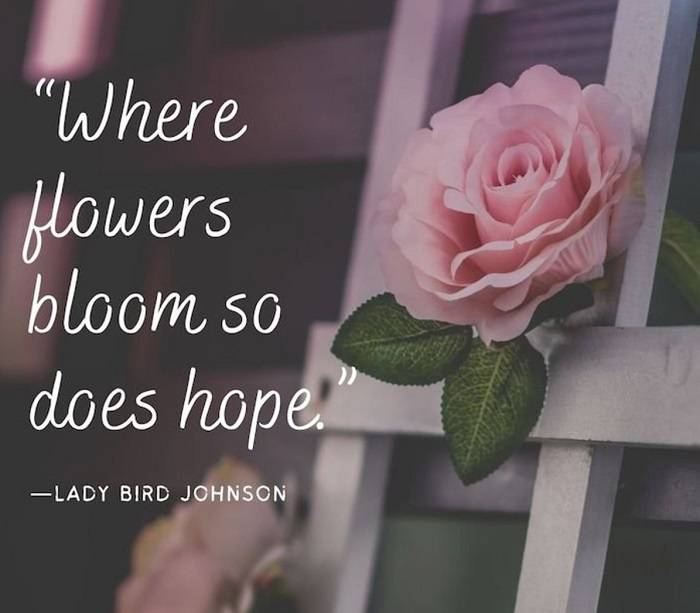 [Colorful] Flower Status, Quotes & Captions For A Flower Lover