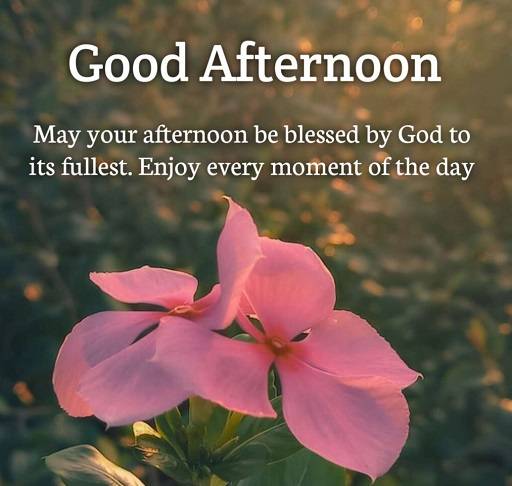 Good Afternoon Status Wishes