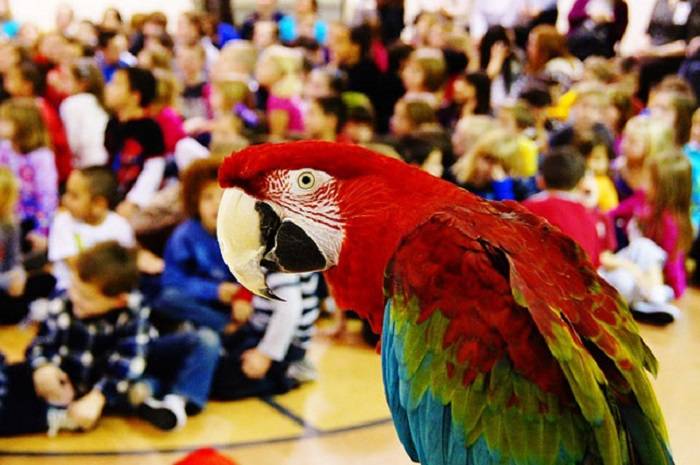 Benefits of Well Executed School Assemblies