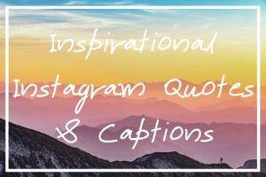 Busy Captions for Instagram Status Quotes