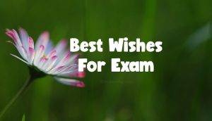Exam Wishes for Sister Status and Quotes