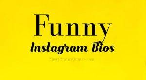 Funniest Funny Bios status and Quotes