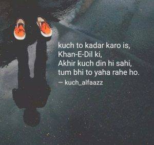 Kadar Status and Quotes