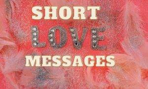 Short Love Bios Status and Quotes