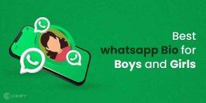 WhatsApp Bios for Boys Status