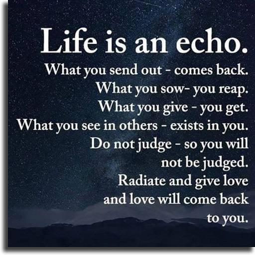 Heartfelt Quotes for WhatsApp and Status
