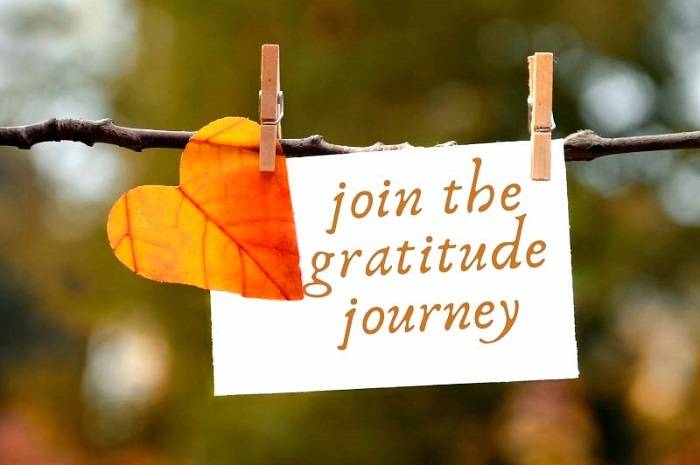 Gratitude for the Journey