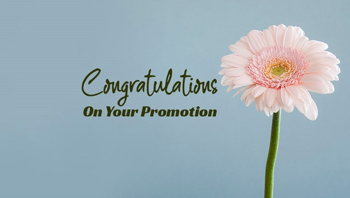 Original and Meaningful Ways to Say “Congratulations to Boss on Promotion” congratulations to boss on promotion