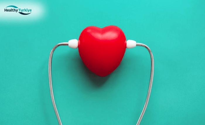 What’s Included in a Full Body Health Check Up in Turkey? 01